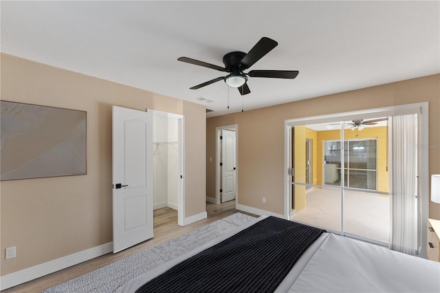 bedroom with a walk in closet, light hardwood / wood-style floors, a closet, and ceiling fan