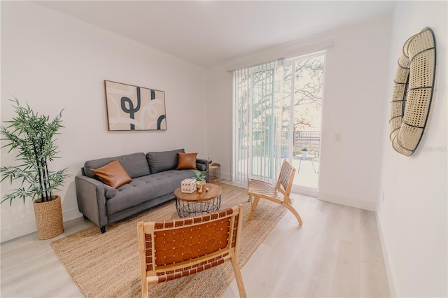 living room with hardwood / wood-style floors