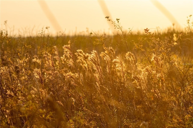 view of nature at dusk