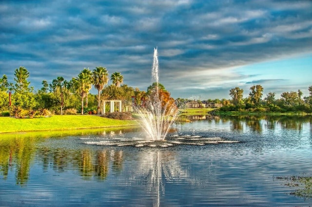 view of water feature