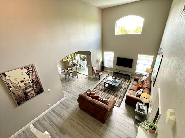 living room featuring a high ceiling and light hardwood / wood-style flooring