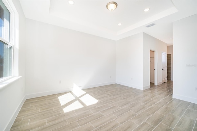 unfurnished room featuring a raised ceiling and a healthy amount of sunlight