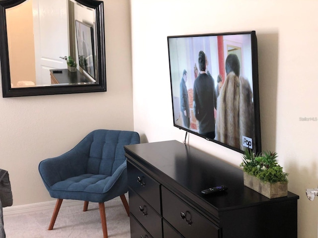 living area featuring carpet floors