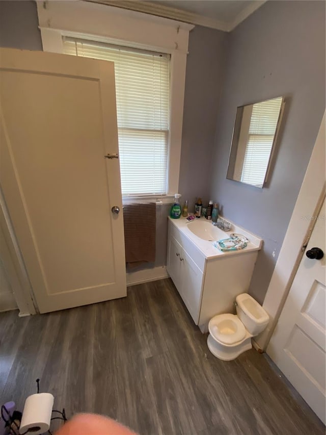 bathroom with toilet, wood-type flooring, vanity, and ornamental molding