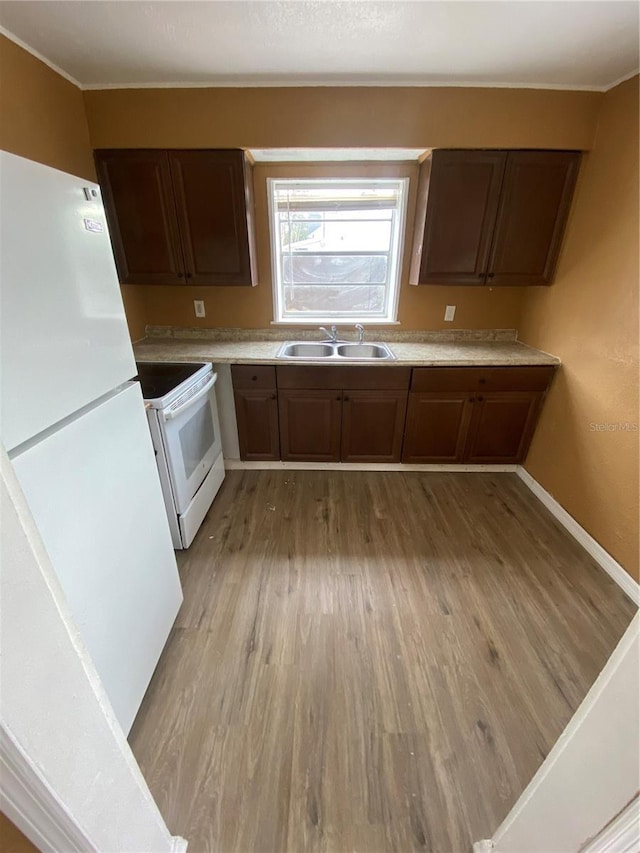 kitchen with sink, white appliances, dark brown cabinetry, and light hardwood / wood-style flooring