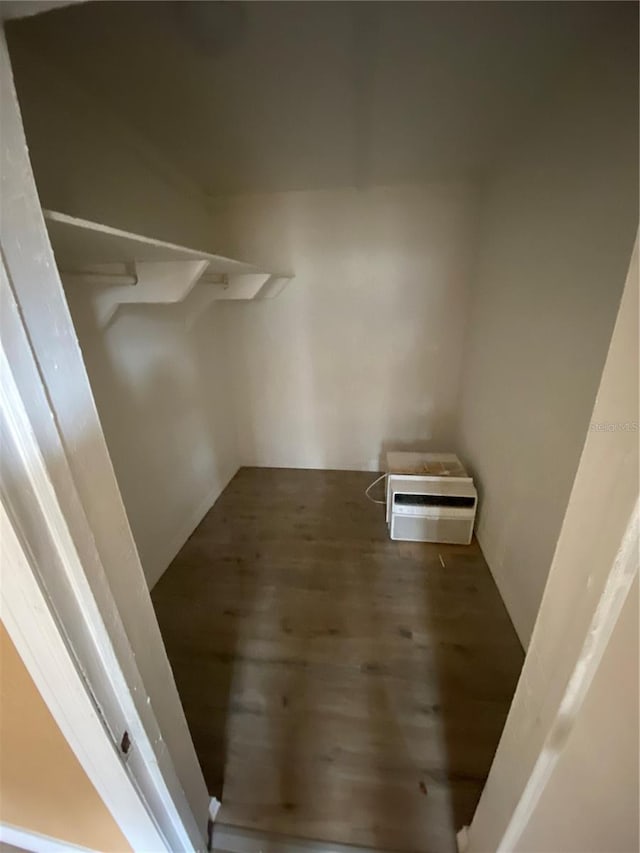 spacious closet with hardwood / wood-style floors