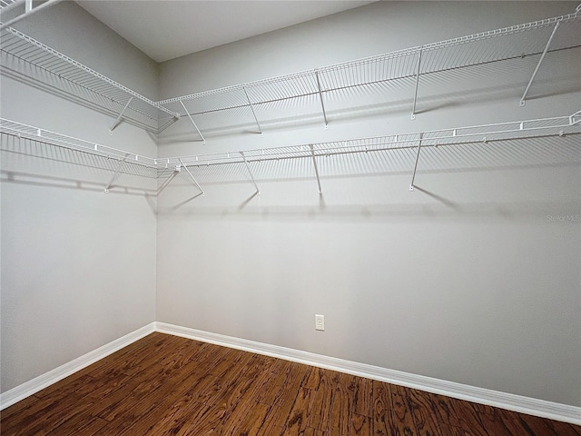 spacious closet featuring hardwood / wood-style floors