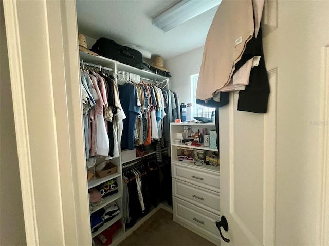 view of walk in closet