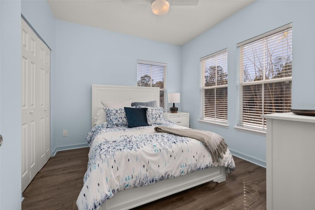 bedroom with ceiling fan, dark hardwood / wood-style flooring, a closet, and multiple windows