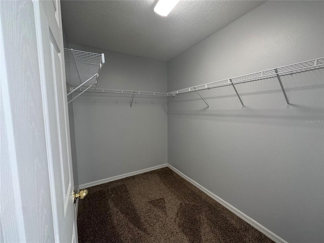 spacious closet with carpet flooring