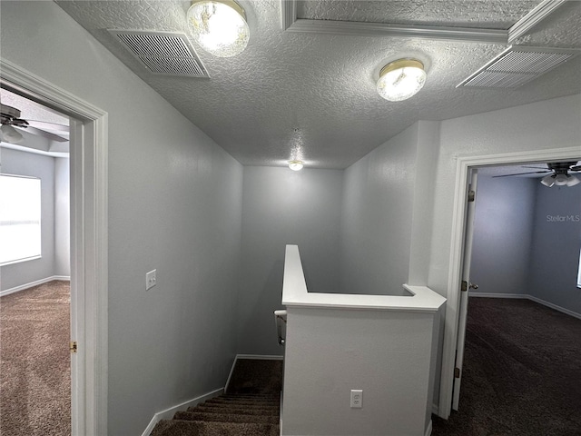 spacious closet with ceiling fan and dark colored carpet