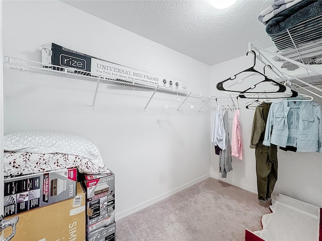 spacious closet featuring carpet floors