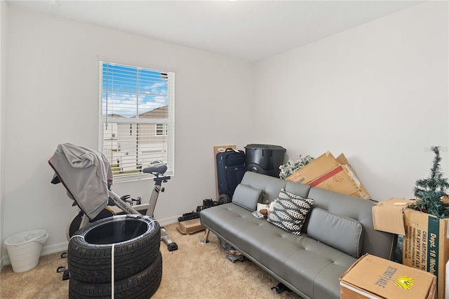 living area with light colored carpet