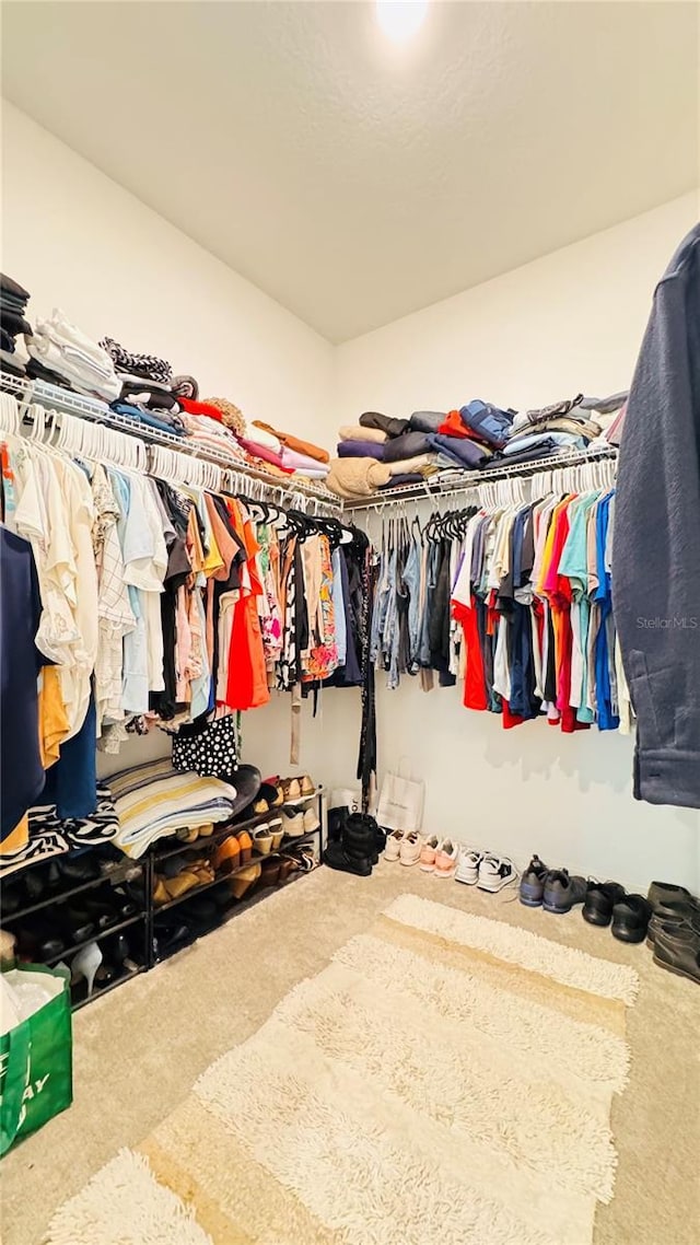 walk in closet featuring carpet flooring