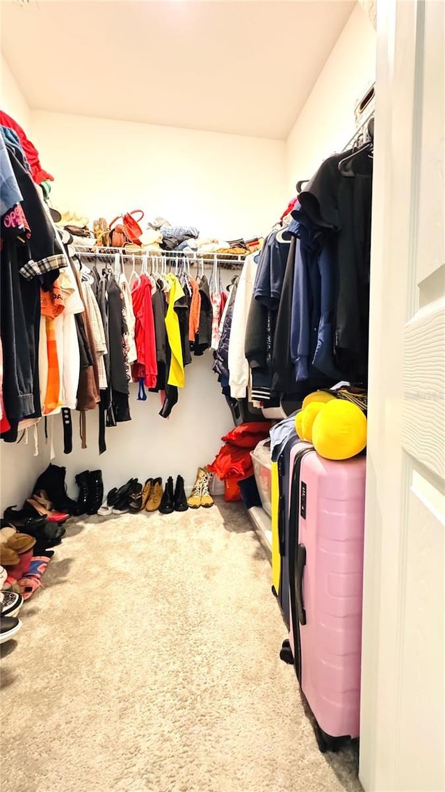 walk in closet with carpet flooring