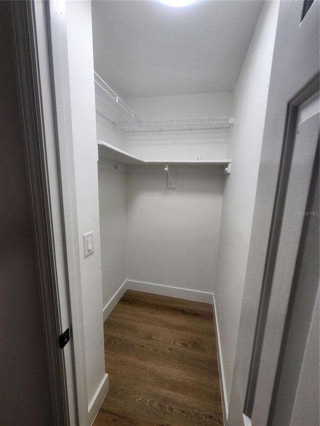 spacious closet with dark hardwood / wood-style flooring