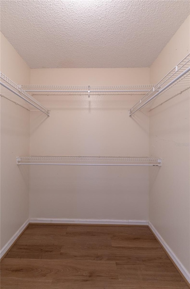 walk in closet with hardwood / wood-style flooring