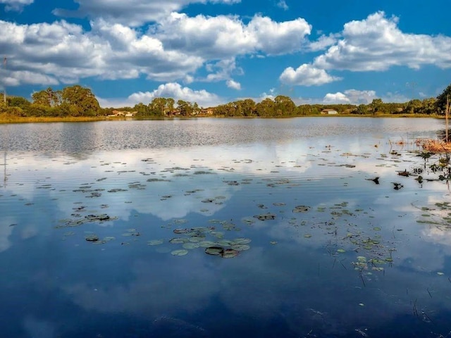 property view of water