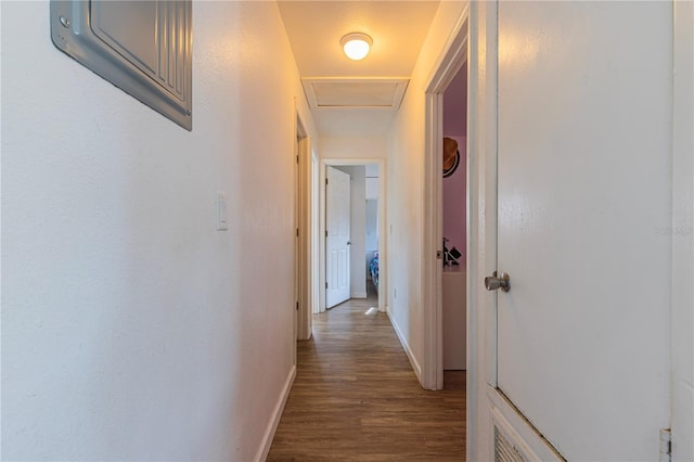 corridor featuring hardwood / wood-style flooring