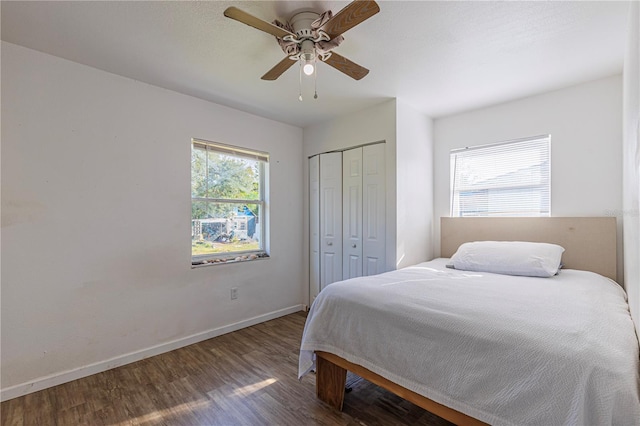 bedroom featuring a closet, dark hardwood / wood-style floors, and ceiling fan