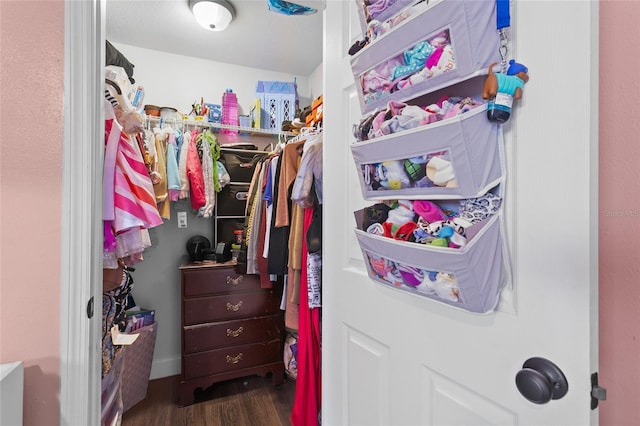 spacious closet featuring dark hardwood / wood-style floors