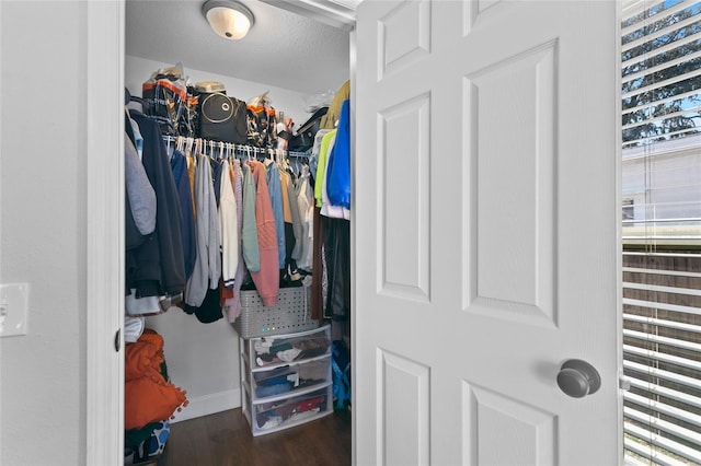 spacious closet featuring dark wood-type flooring