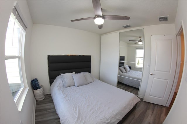 bedroom with multiple windows, dark wood-type flooring, and ceiling fan