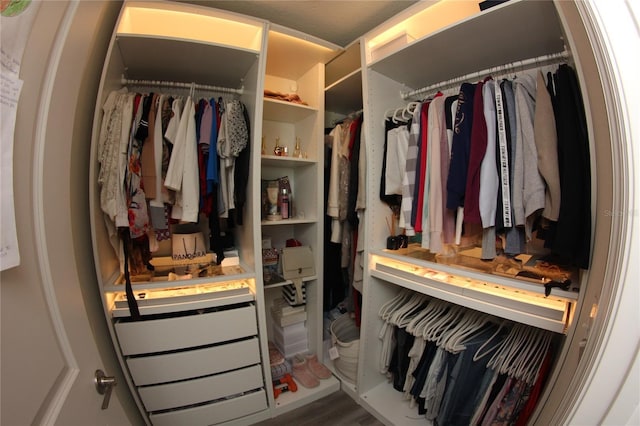 view of spacious closet