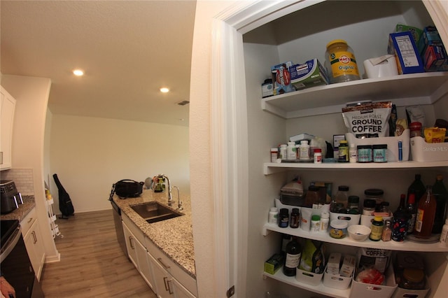 pantry featuring sink