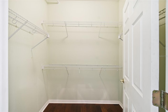 spacious closet featuring dark wood-type flooring