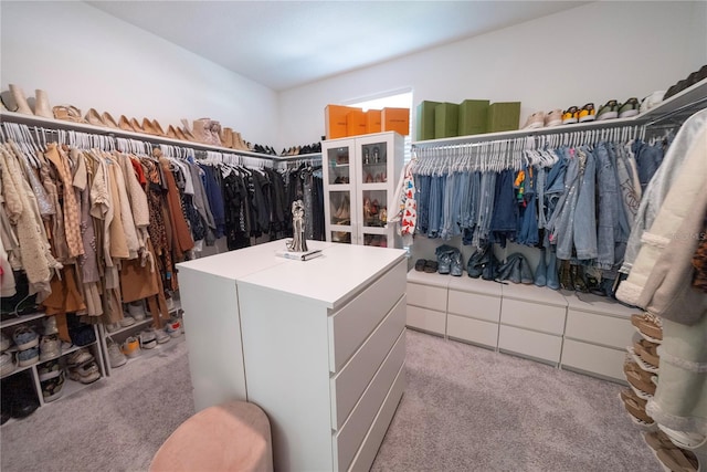 spacious closet with light carpet