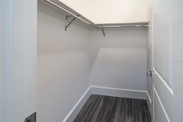 spacious closet with hardwood / wood-style flooring