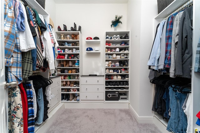 spacious closet featuring carpet