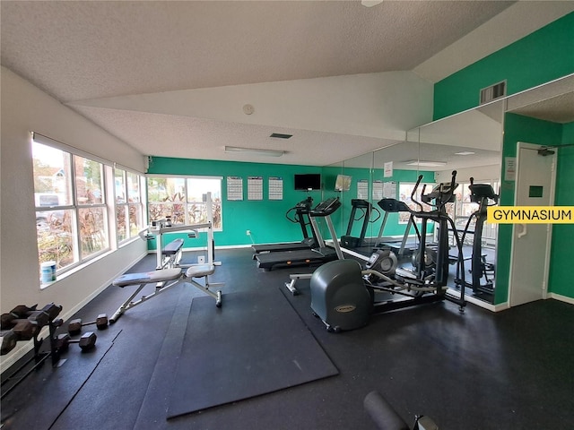 gym with lofted ceiling and a textured ceiling