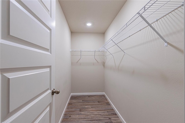 spacious closet with dark hardwood / wood-style floors