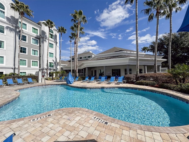 view of pool featuring a patio