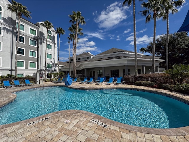 view of pool featuring a patio