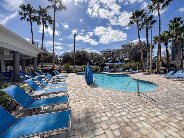 view of swimming pool with a patio area