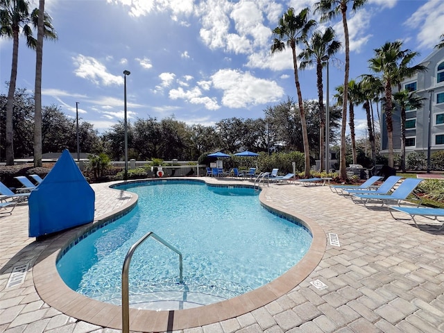 view of swimming pool with a patio area