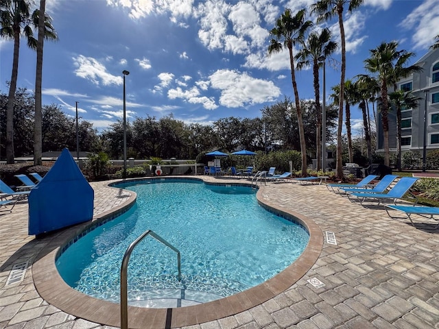 view of swimming pool featuring a patio