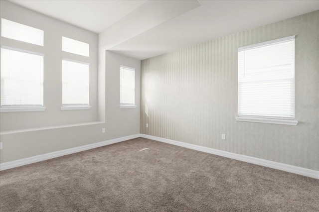 empty room featuring carpet flooring and a wealth of natural light