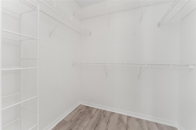 walk in closet with light hardwood / wood-style floors