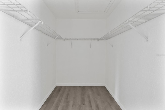 spacious closet featuring hardwood / wood-style flooring