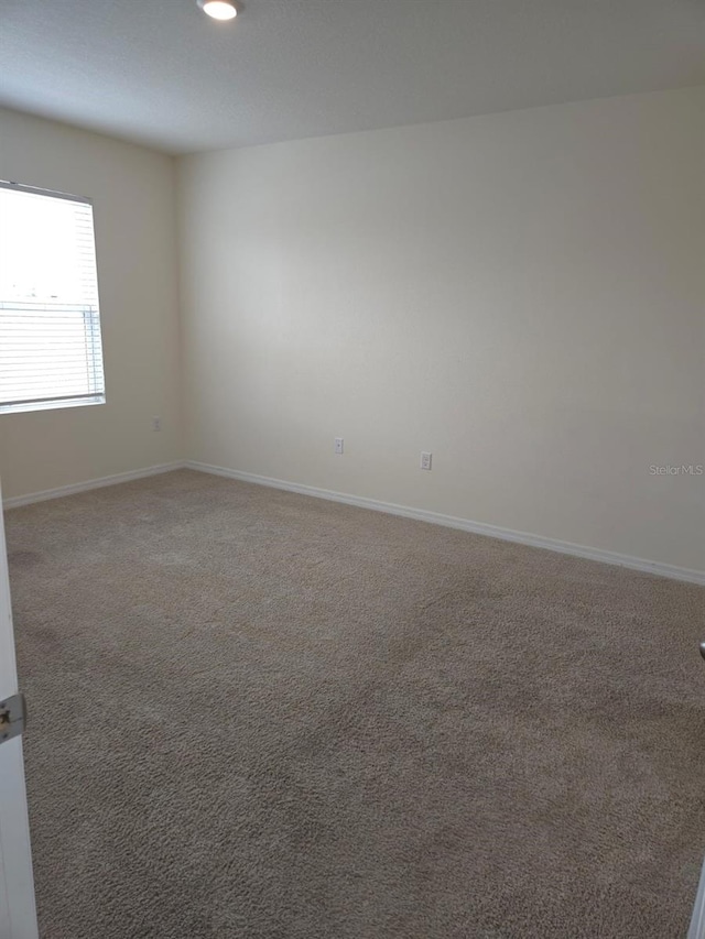 spare room featuring carpet floors