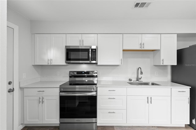 kitchen with white cabinetry, stainless steel appliances, and sink