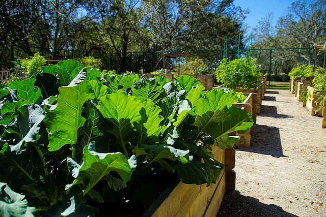 view of yard with a vegetable garden and fence