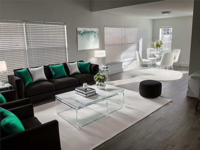 living room featuring hardwood / wood-style floors