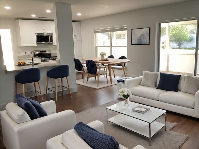 living room featuring sink, a wealth of natural light, and dark hardwood / wood-style floors