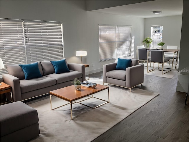 living room with hardwood / wood-style floors