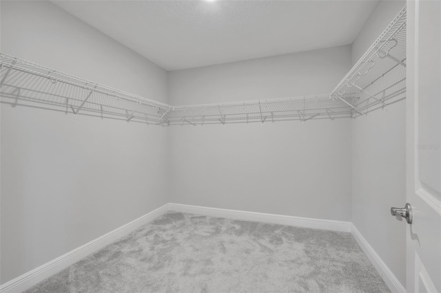 walk in closet with carpet